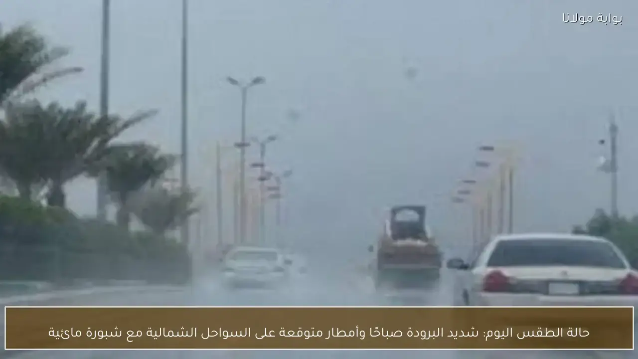 أمطار تضرب السواحل الشمالية مع تقلبات جوية وشبورة مائية كثيفة بمختلف المناطق